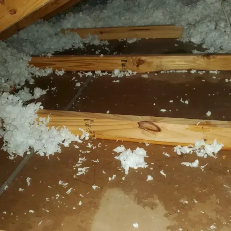 Attic Water Damage in Kuna, ID