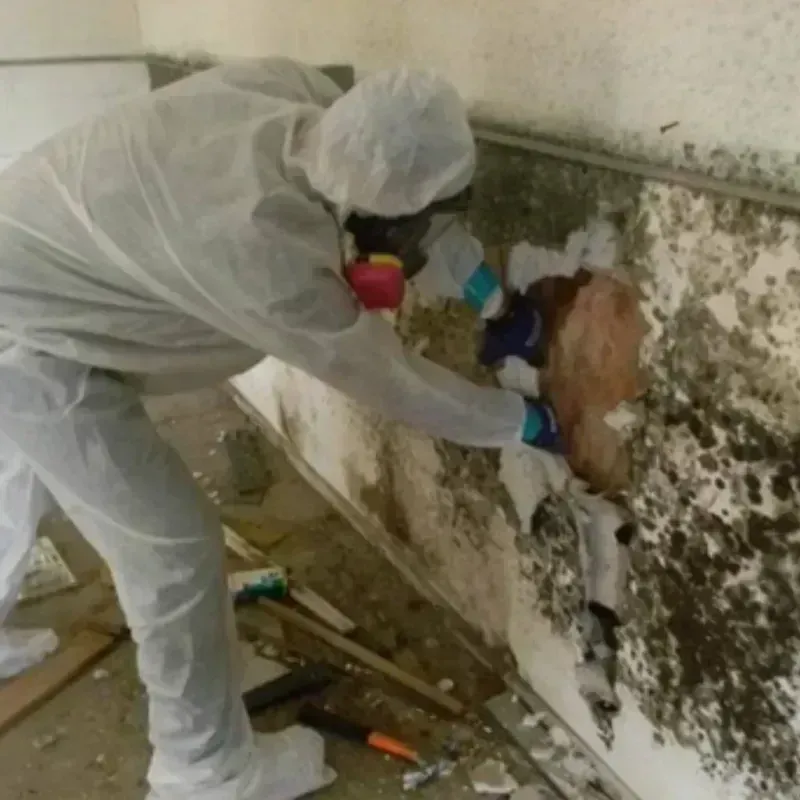 Mold Remediation and Removal in Kuna, ID