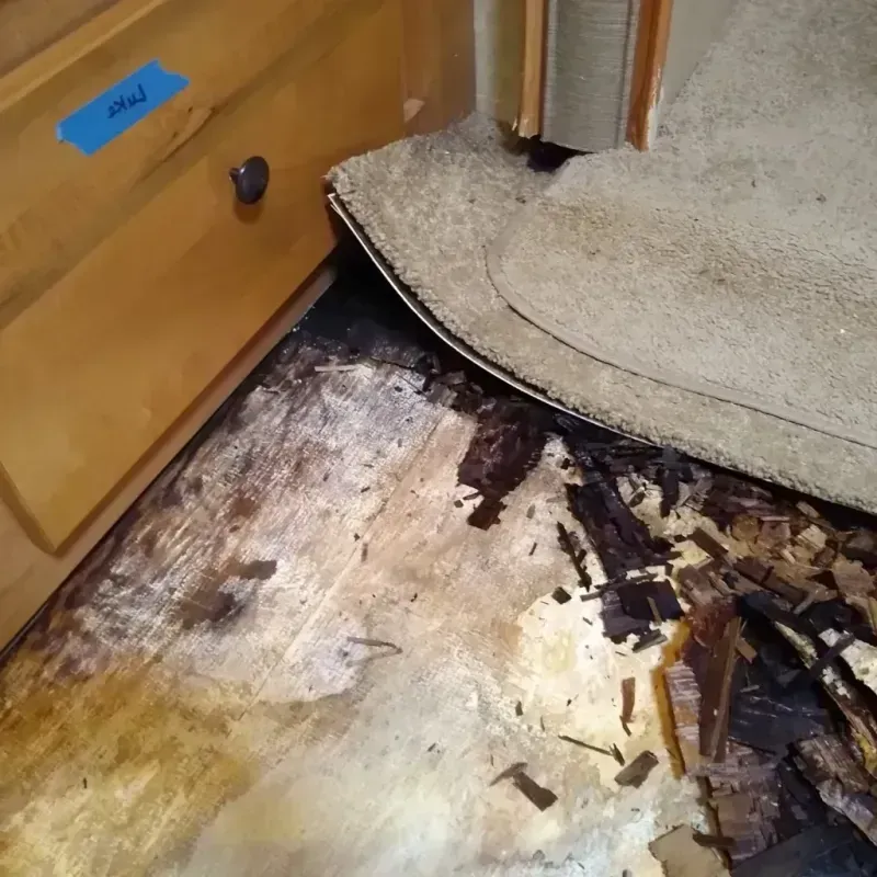 Wood Floor Water Damage in Kuna, ID